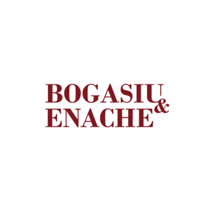 https://bogasiu.ro/